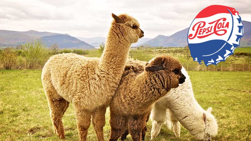 PepsiCo Sues Coca-Cola Over 'Misleading' Alpaca Blood Ad