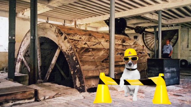 Puppy Mill Under Investigation by Puppy Labor Bureau